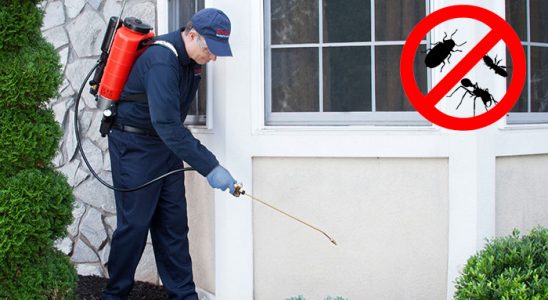 Alaybey Karınca İlaçlama böcek ilaçlama ve haşere kontrolü — ilaclama-tr.com